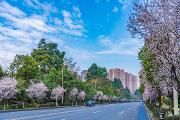 征求意见！温江区地名分区规划来了！涉及你身边的357条地名...