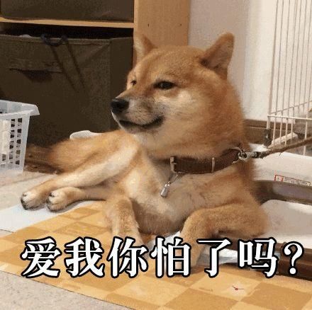 动工7个停车场、建成14所学校，2019年温江民生实事清单要做的可不止这些！