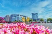 区政府常务会议和区长办公会议召开，安排部署了这些重点工作