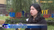 创新开放进取的温江咋个建？他们有话要说！