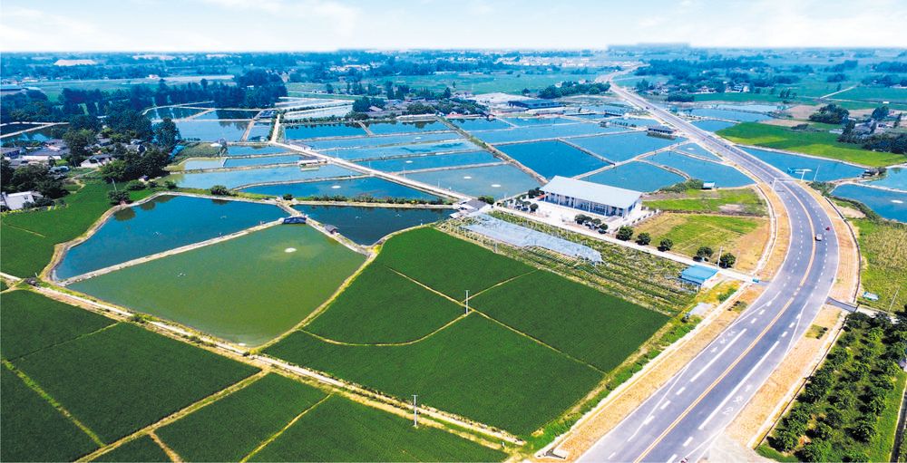 深入实施乡村振兴战略 成都探索公园城市“乡村表达”