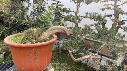 QQ图片20200316130712.png