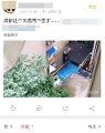 成都下雪了？气象专家：不大可能