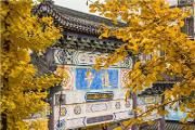 市领导吴凯来温督导疫情防控相关工作