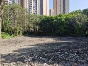 温江区金马街道：三天内清理堆积垃圾超2000立方米