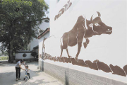 成都温江：整田 护林 理水 改院 传统村落展现代风采