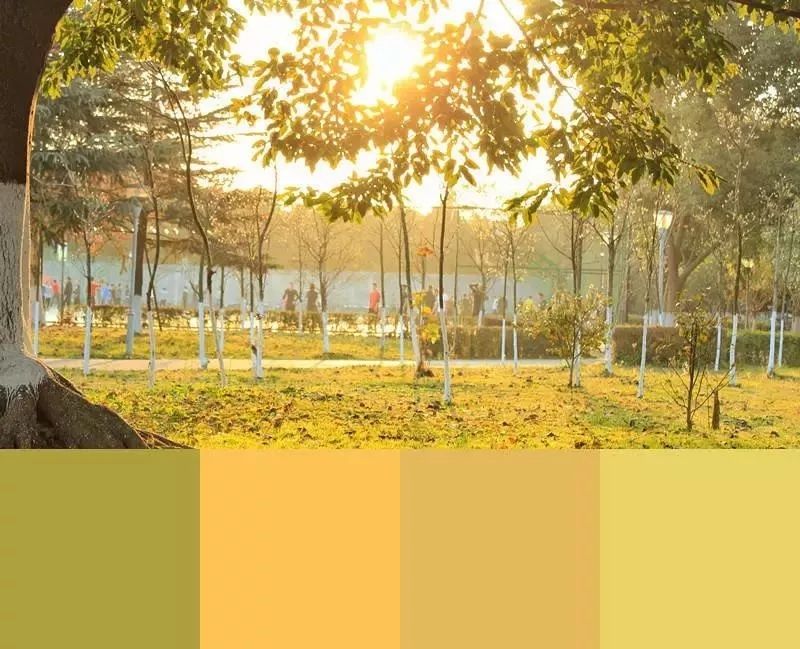 640.webp.jpg