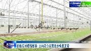 积极应对疫情 温江花企运营逐步恢复正常