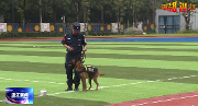 “少警联盟”共建平安成都，温江区首批10名“小小少警”亮相