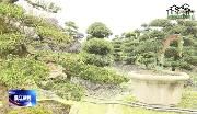 和盛镇友庆社区:推动土地长期流转，拓宽产业发展道路