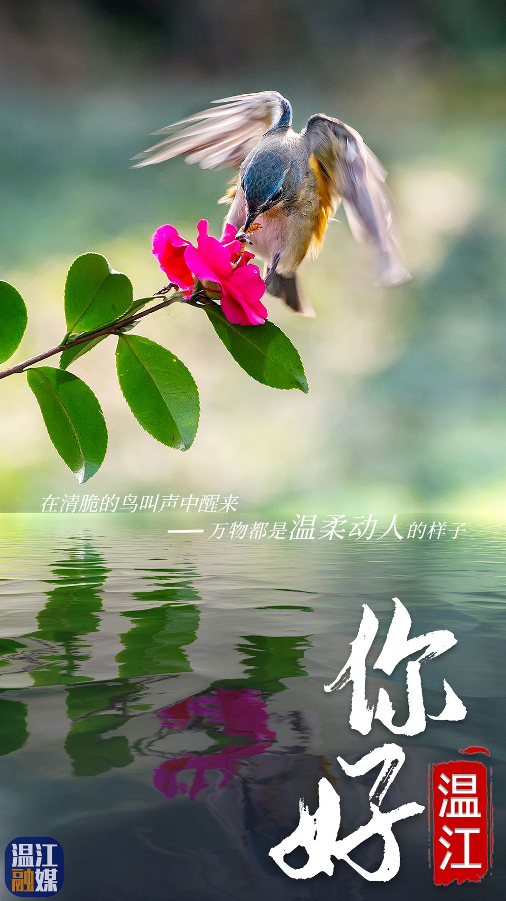 微信图片_20200818165924.jpg