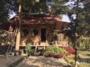 游览和盛紫薇公园 体验树屋特色民宿
