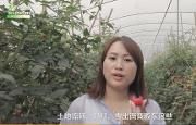 我是温江区万春镇高山村书记颜泽菊，这段vlog一起来看我的奋斗和成长