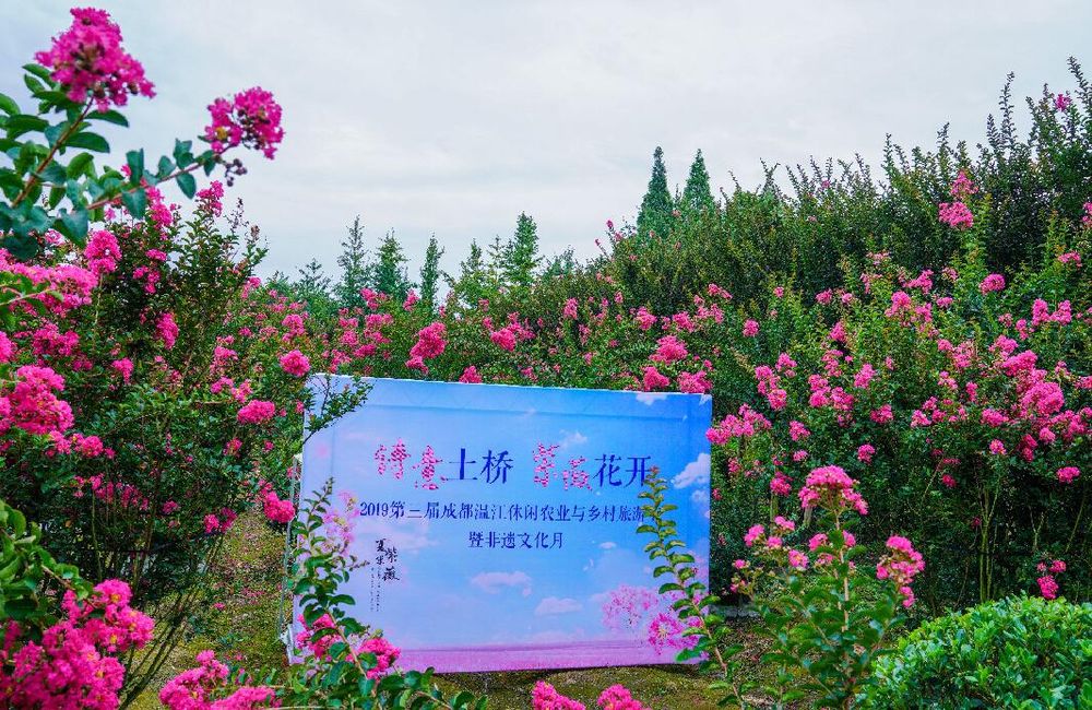 QQ截图20190722115304.jpg