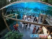 二十四句情话“甜”满宽窄 “五一”在此收获温江表白