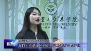 川农大学生培育新品种红豆杉  为抗癌新药提供原材料