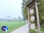 全国政协委员林武、岳世鑫一行来温调研传统村落农房风貌塑造等情况