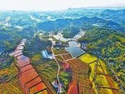 快讯！四川将突发公共卫生事件应急响应调整为二级