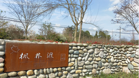 QQ图片20200316130704.png