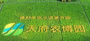 中国天府农业博览园项目开工建设