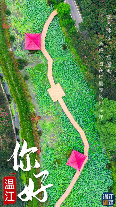 微信图片_20200825154513_副本.jpg
