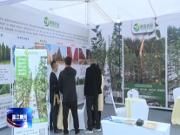 花开世界 筑梦蓉城 第二届成都国际花木博览会在温开幕