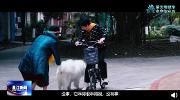 文明养宠！温江一小区居民自编自导微电影！