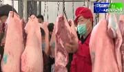 温江全力保障猪肉市场供应