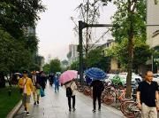 风雨齐上线 成都今日最高气温20℃
