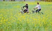 川人游川 景区游客回流明显