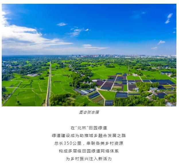 QQ截图20200708163959.jpg