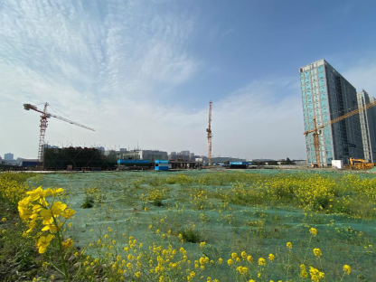 QQ图片20200313133105.png