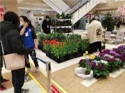 盆花滞销 温江商超齐助力