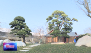 川派盆景在温江—— 小“公园”彰显大格局