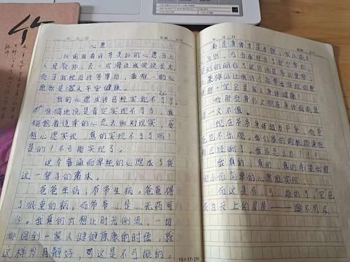王曼琦作文《心愿》.jpg