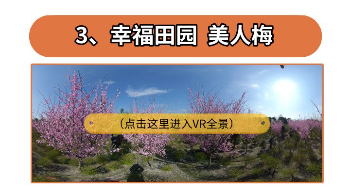 APPVR3.jpg