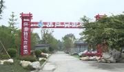 温江：“前店后厂”产销一体 花木卖场年销售额2000万