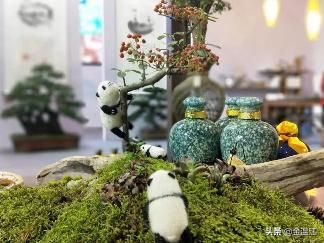 温江:陶勋花在全国“两会”取到这些“经”
