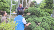 乘“直播”东风  温江花木企业迎来发展新契机