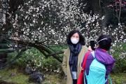 城市正在复苏 百度迁徙大数据 广州成都等10城最“红”
