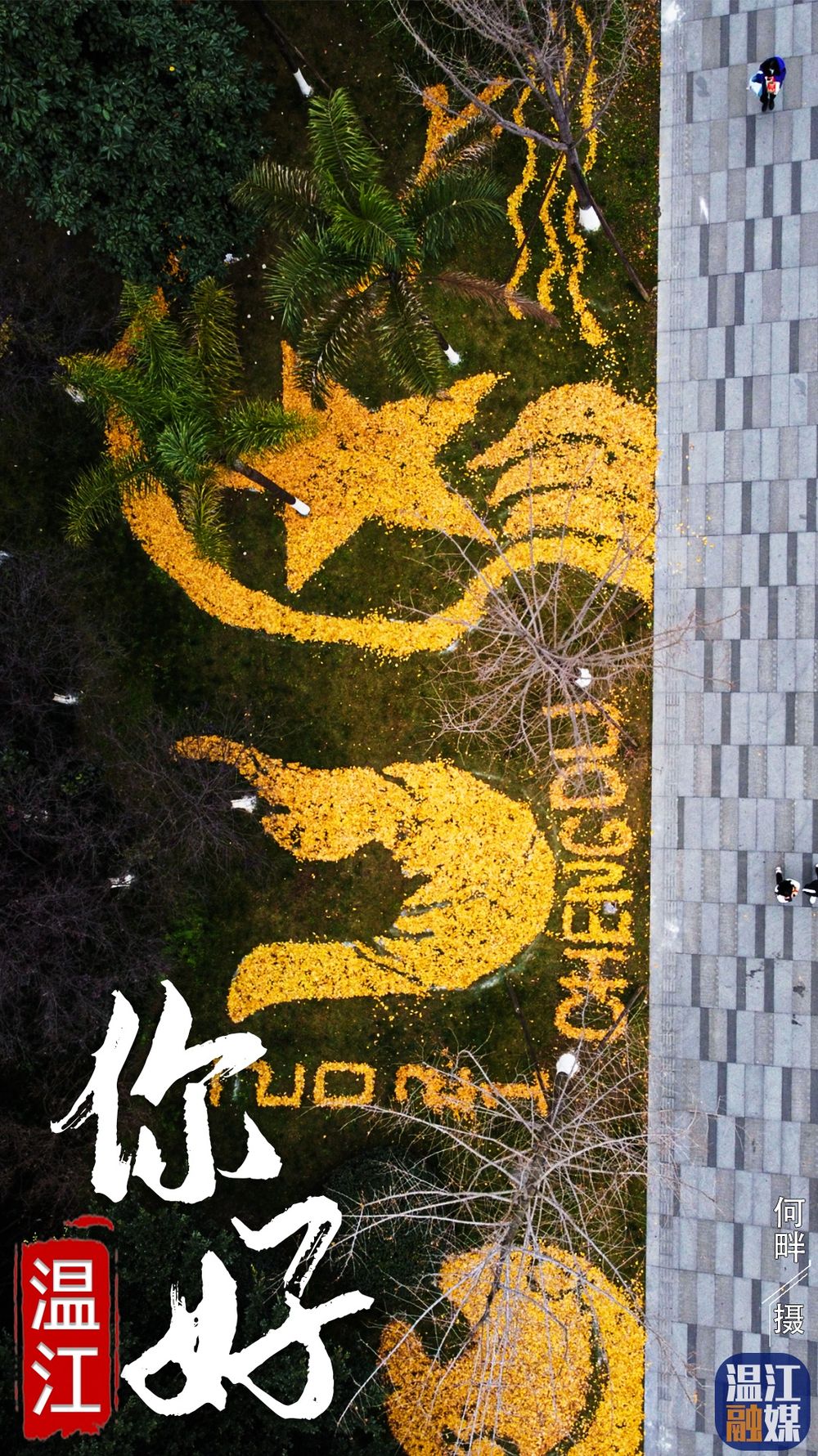 微信图片_20201216203150_看图王.jpg