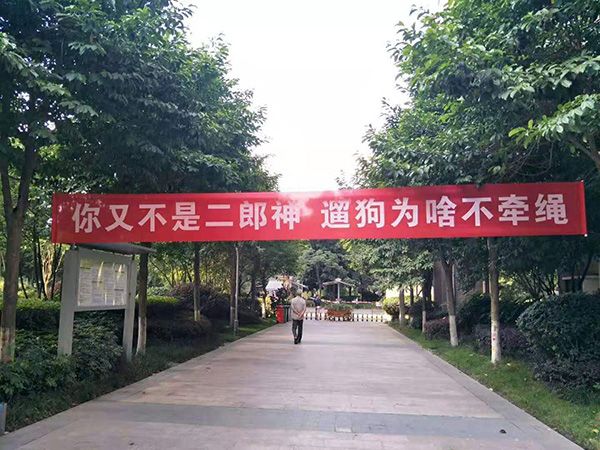 987.jpg