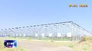 温江禾晟德花木进出口示范园项目建设完成总工程量70%，预计年底投入使用