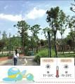 30℃、31℃、32℃ 未来三天，成都气温将持续上蹿