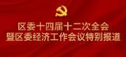 2021全会特别报道