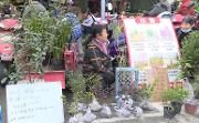小市场拉动大产业！吴家场花木市场年交易额达上亿元