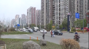 区政协开展交通组织管理重点专题调研
