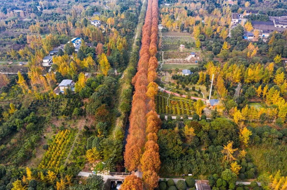 QQ截图20201118095916.jpg
