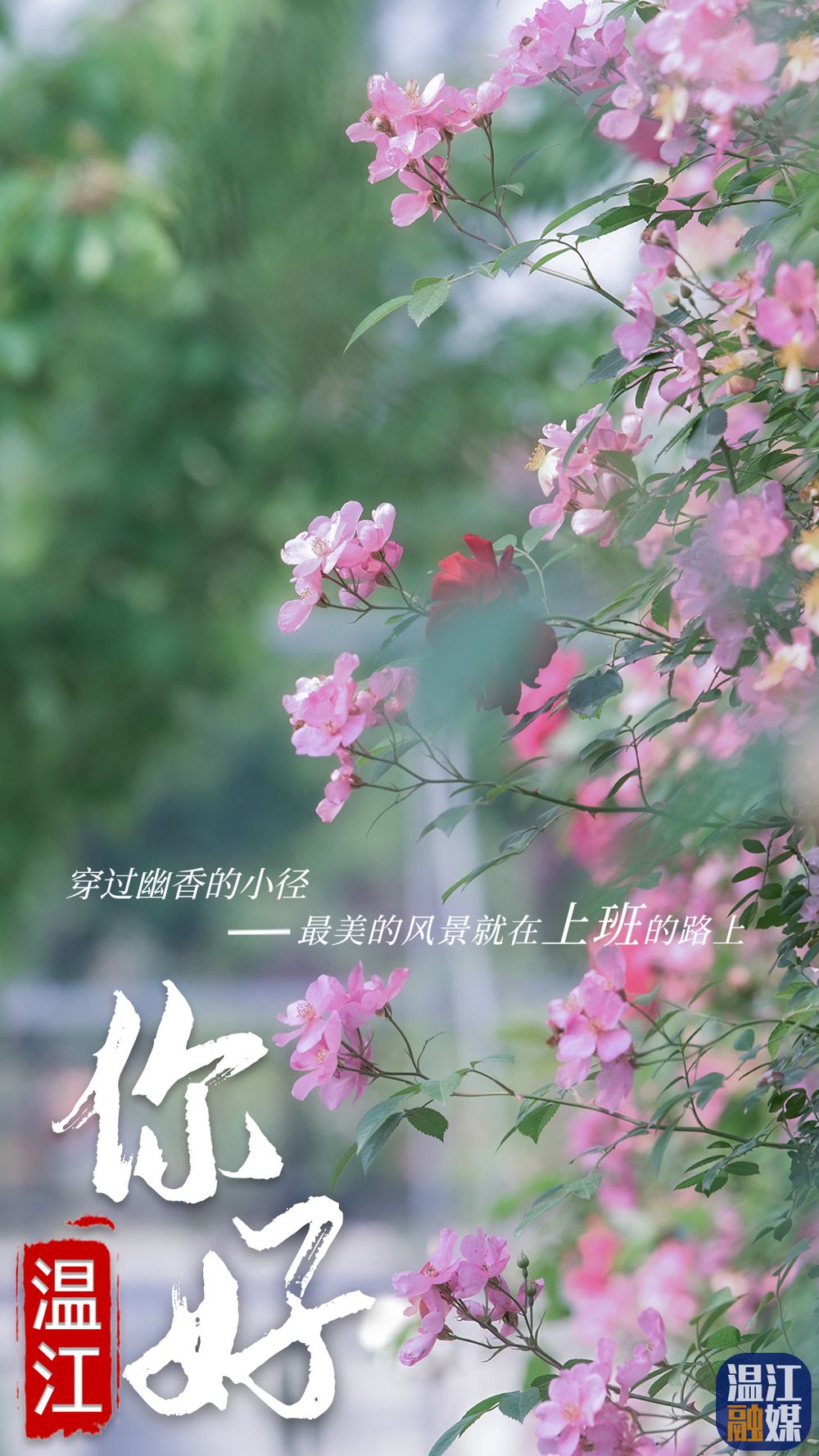 微信图片_20200825154509.jpg