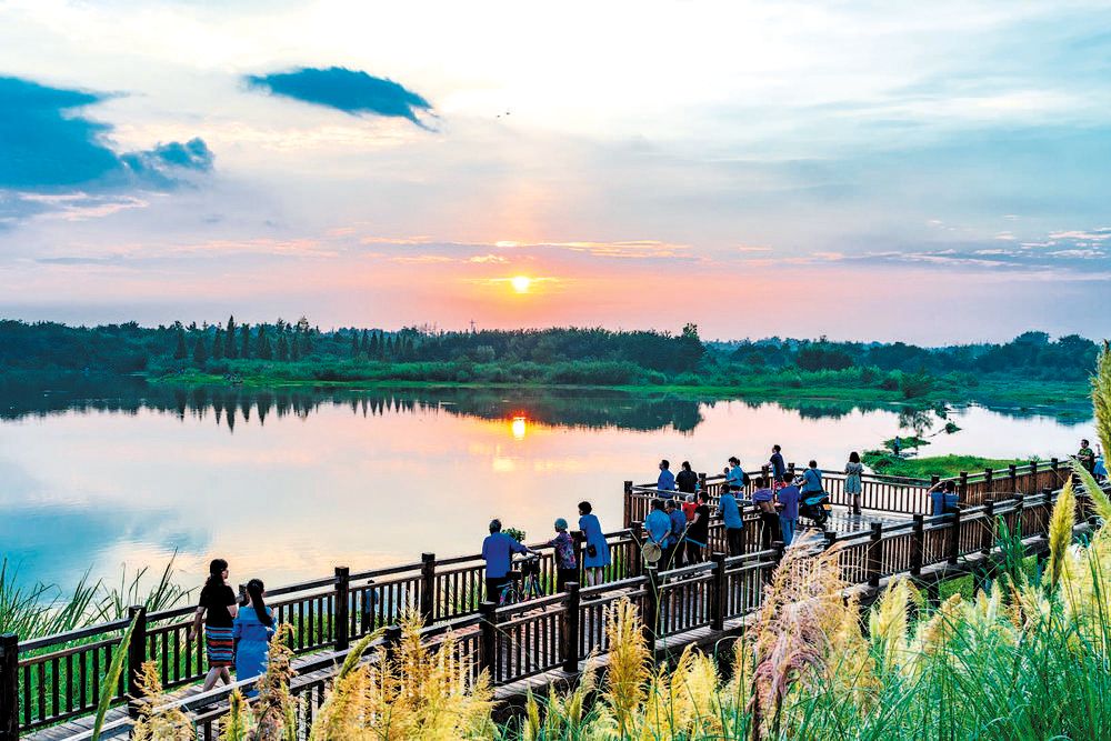 一汪碧水激发产业蝶变，串珠成链建新消费场景 温江诠释公园城市乡村表达